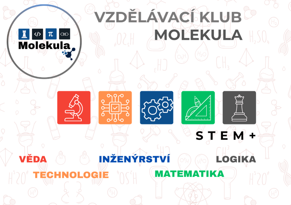 Направления клуба Molekula